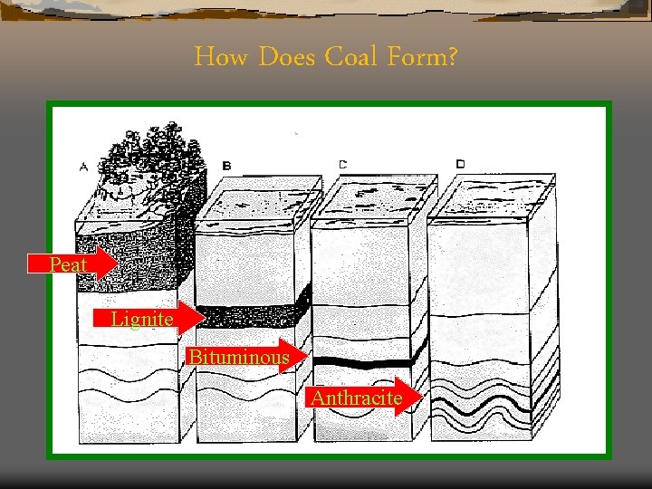 How Does Coal Form? Peat Lignite Bituminous Anthracite 