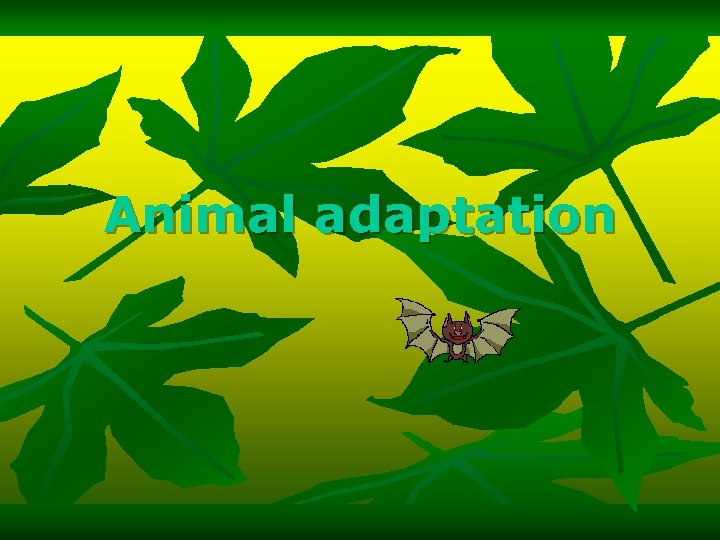 Animal adaptation 