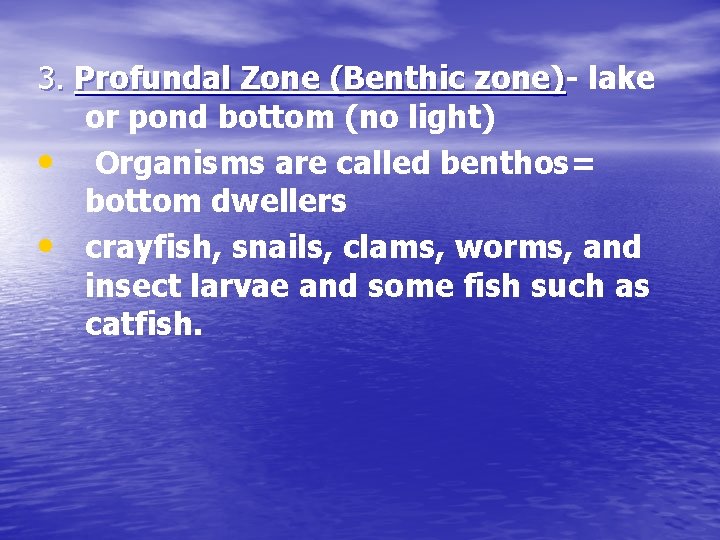 3. Profundal Zone (Benthic zone) lake or pond bottom (no light) • Organisms are