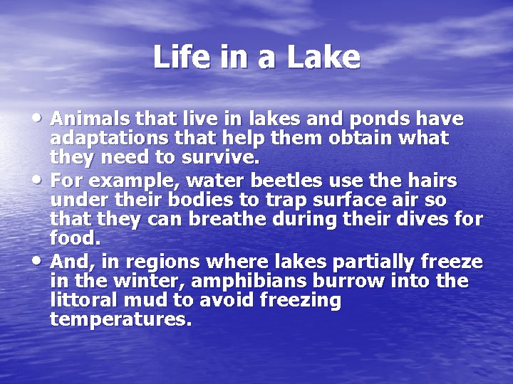 Life in a Lake • Animals that live in lakes and ponds have •