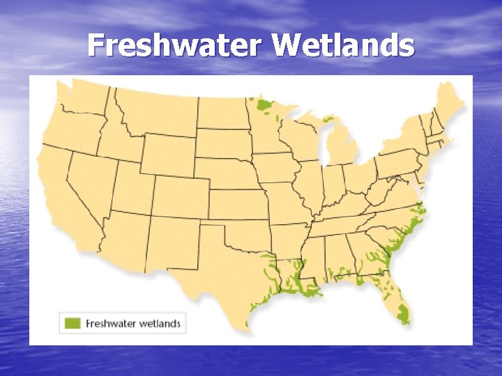 Freshwater Wetlands 