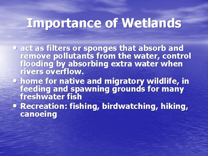 Importance of Wetlands • act as filters or sponges that absorb and • •