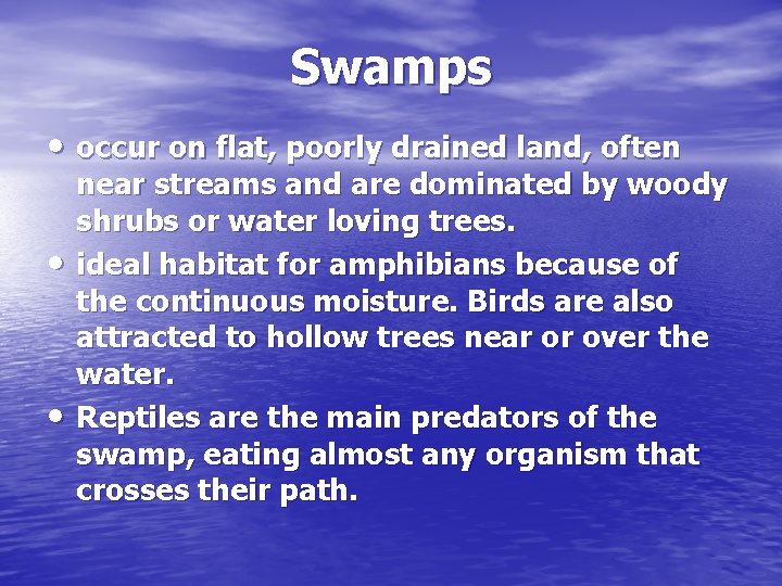 Swamps • occur on flat, poorly drained land, often • • near streams and