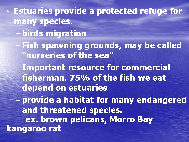  • Estuaries provide a protected refuge for many species. – birds migration –