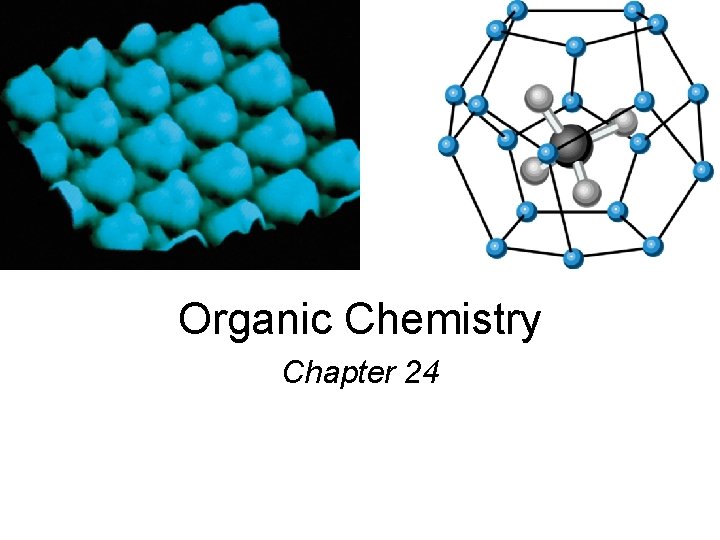 Organic Chemistry Chapter 24 