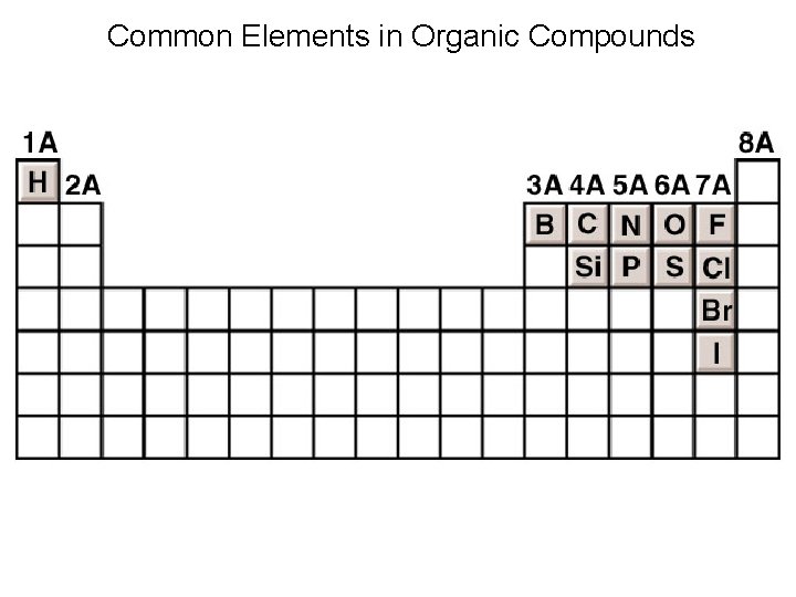 Common Elements in Organic Compounds 