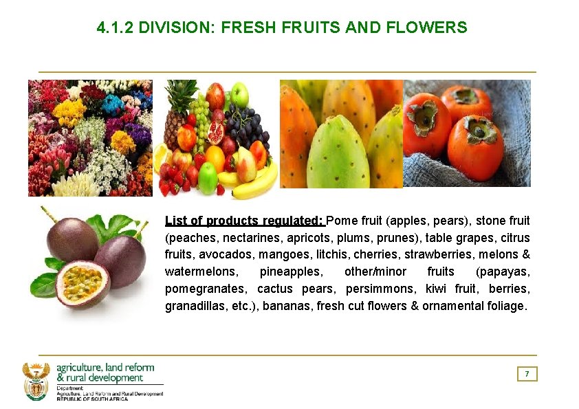 4. 1. 2 DIVISION: FRESH FRUITS AND FLOWERS List of products regulated: Pome fruit