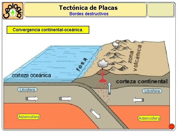 Tectónica de Placas Bordes destructivos Convergencia continental-oceánica. Litosfera Astenosfera 