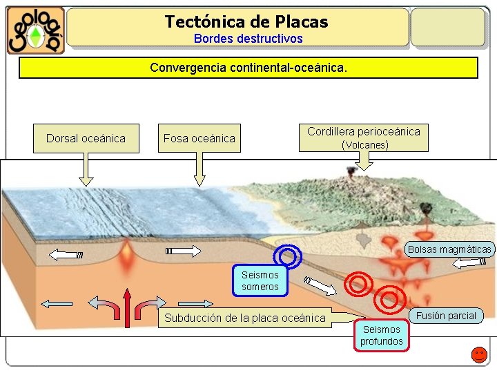 Tectónica de Placas Bordes destructivos Convergencia continental-oceánica. Dorsal oceánica Cordillera perioceánica (Volcanes) Fosa oceánica