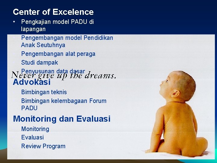 Center of Excelence • Pengkajian model PADU di lapangan • Pengembangan model Pendidikan Anak