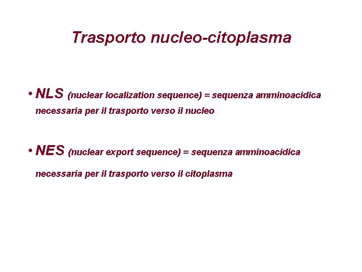 Trasporto nucleo-citoplasma • NLS (nuclear localization sequence) = sequenza amminoacidica necessaria per il trasporto