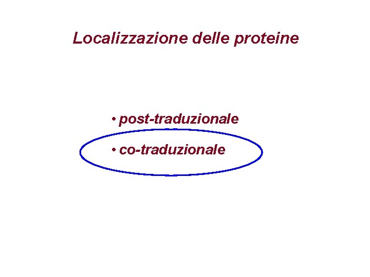 Localizzazione delle proteine • post-traduzionale • co-traduzionale 