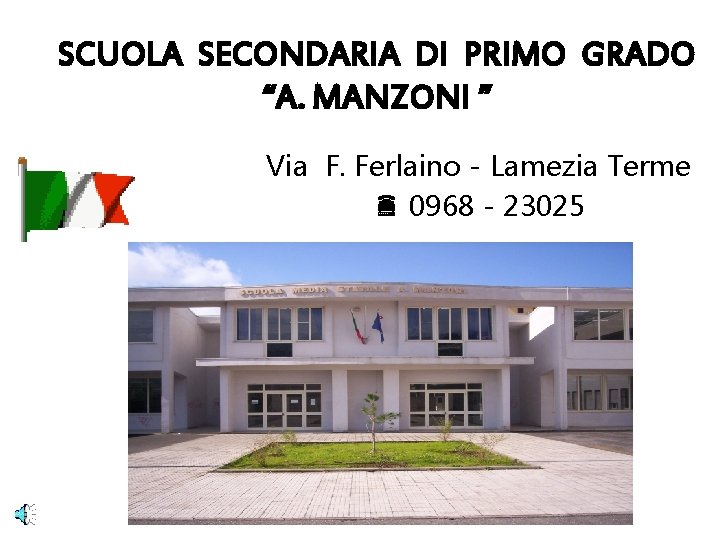 SCUOLA SECONDARIA DI PRIMO GRADO “A. MANZONI ” Via F. Ferlaino - Lamezia Terme