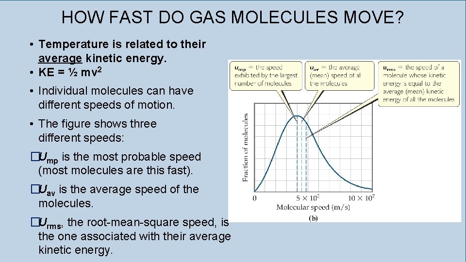 HOW FAST DO GAS MOLECULES MOVE? • Temperature is related to their average kinetic
