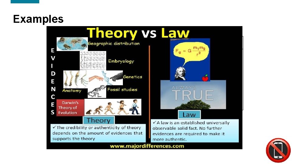 Examples Scientific Theory Scientific Law • • • Law of Gravity • Newton’s Law
