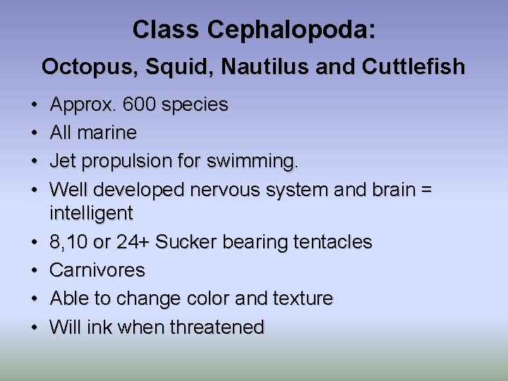 Class Cephalopoda: Octopus, Squid, Nautilus and Cuttlefish • • Approx. 600 species All marine