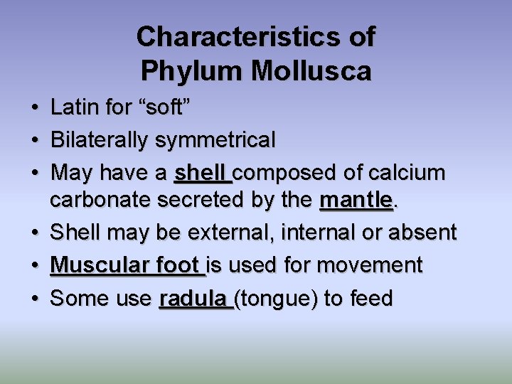 Characteristics of Phylum Mollusca • • • Latin for “soft” Bilaterally symmetrical May have