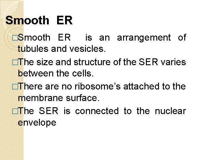 Endoplasmic Reticulum Lecture 9 Cell Biology INTRODUCTION In