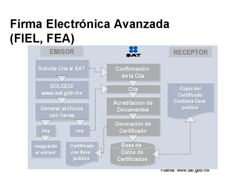 Firma Electrónica Avanzada (FIEL, FEA) Fuente: www. sat. gob. mx 