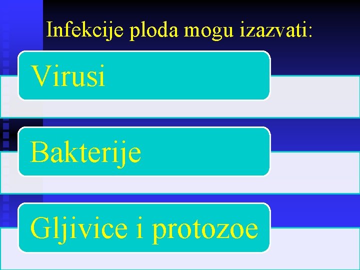 Infekcije ploda mogu izazvati: Virusi Bakterije Gljivice i protozoe 