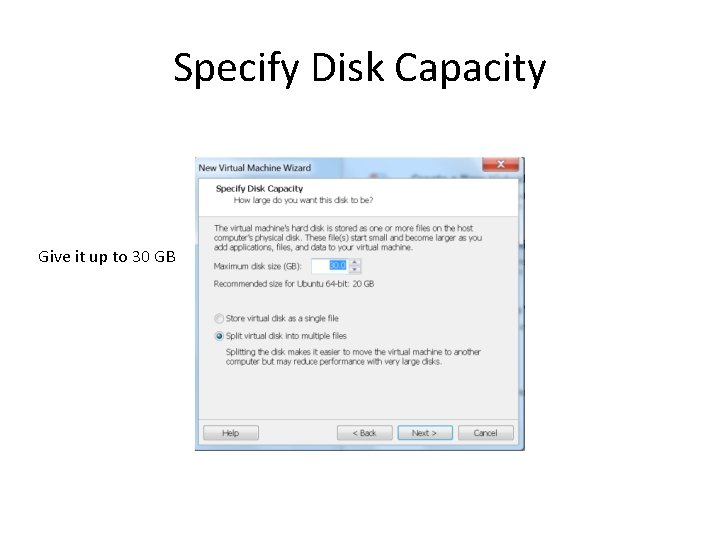 Specify Disk Capacity Give it up to 30 GB 