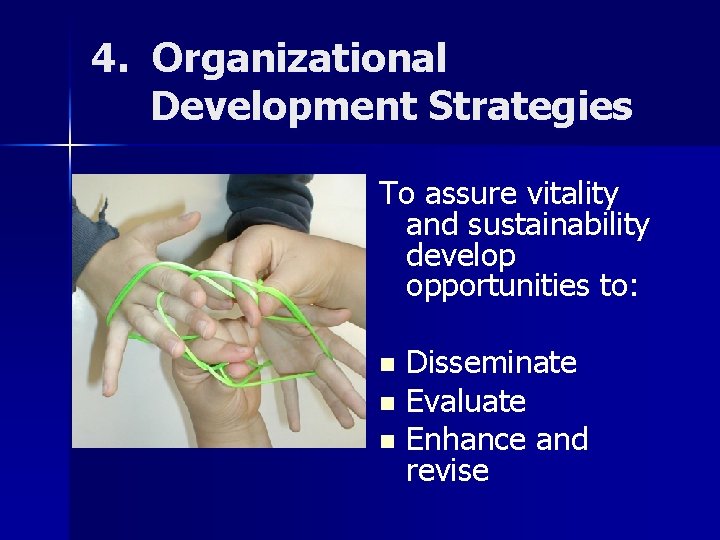 4. Organizational Development Strategies To assure vitality and sustainability develop opportunities to: Disseminate n 4. Organizational Development Strategies To assure vitality and sustainability develop opportunities to: Disseminate n