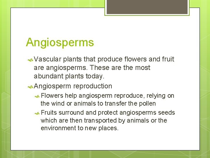 Angiosperms Vascular plants that produce flowers and fruit are angiosperms. These are the most