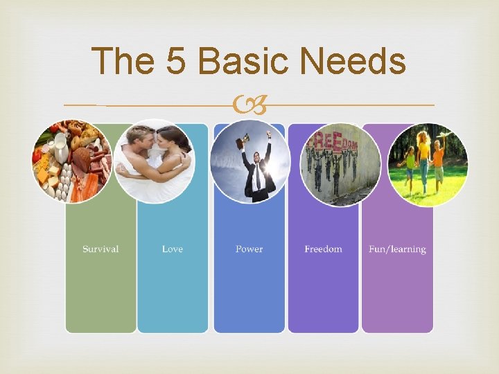 The 5 Basic Needs 