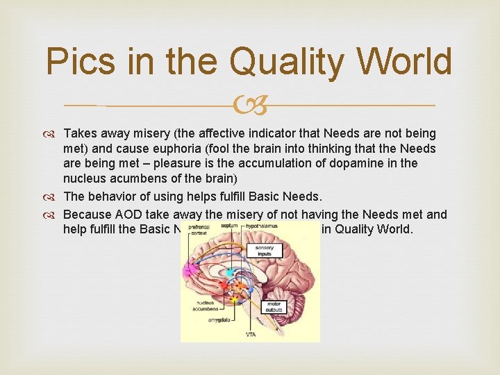 Pics in the Quality World Takes away misery (the affective indicator that Needs are