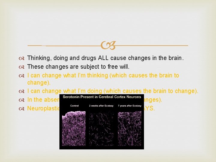  Thinking, doing and drugs ALL cause changes in the brain. These changes are