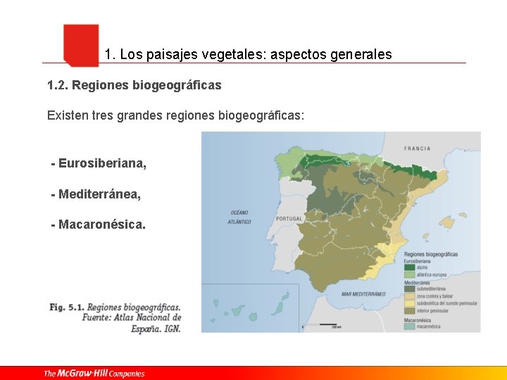 1. Los paisajes vegetales: aspectos generales 1. 2. Regiones biogeográficas Existen tres grandes regiones