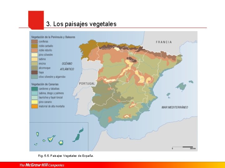 3. Los paisajes vegetales Fig. 5. 5. Paisajes Vegetales de España. 