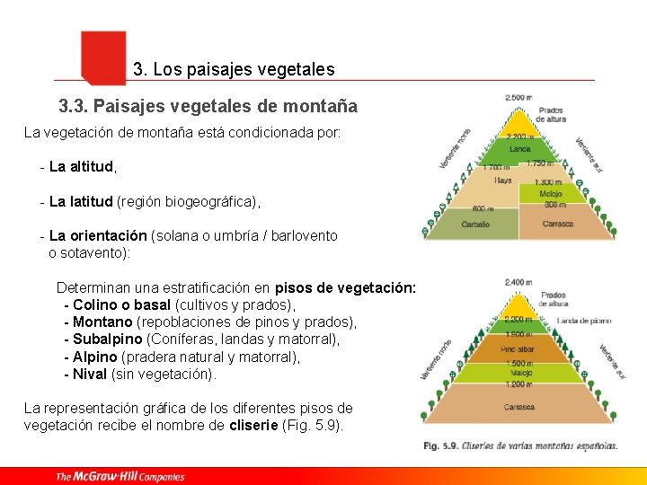 3. Los paisajes vegetales 3. 3. Paisajes vegetales de montaña La vegetación de montaña