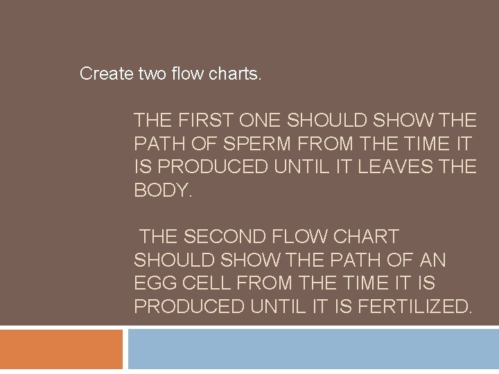 Create two flow charts. THE FIRST ONE SHOULD SHOW THE PATH OF SPERM FROM