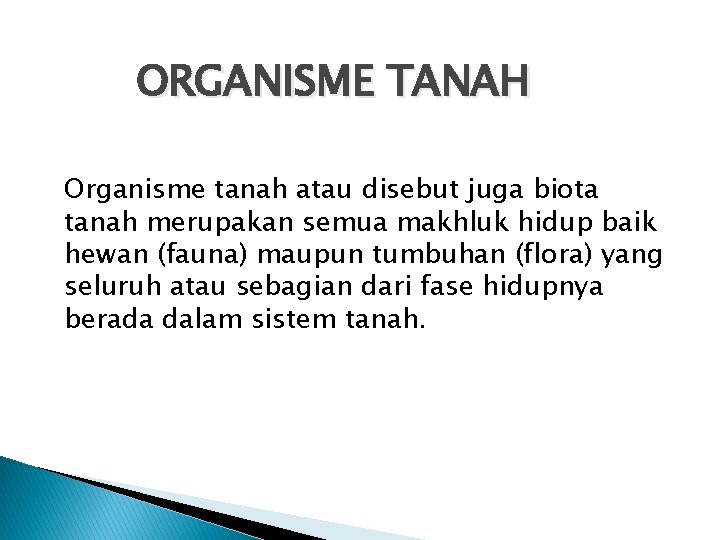 ORGANISME TANAH Organisme tanah atau disebut juga biota tanah merupakan semua makhluk hidup baik