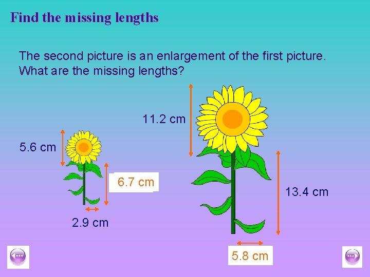 Find the missing lengths The second picture is an enlargement of the first picture.