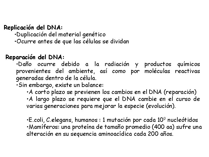 Replicación del DNA: • Duplicación del material genético • Ocurre antes de que las