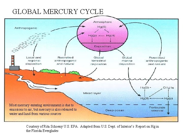 GLOBAL MERCURY CYCLE Most mercury entering environment is due to emissions to air, but