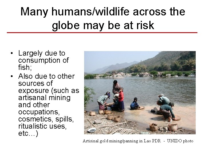 Many humans/wildlife across the globe may be at risk • Largely due to consumption