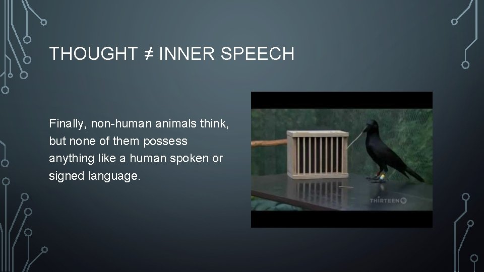 THOUGHT ≠ INNER SPEECH Finally, non-human animals think, but none of them possess anything