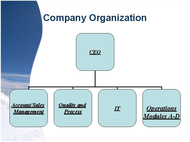 Company Organization CEO Account/Sales Management Quality and Process IT Operations Modules A-D 