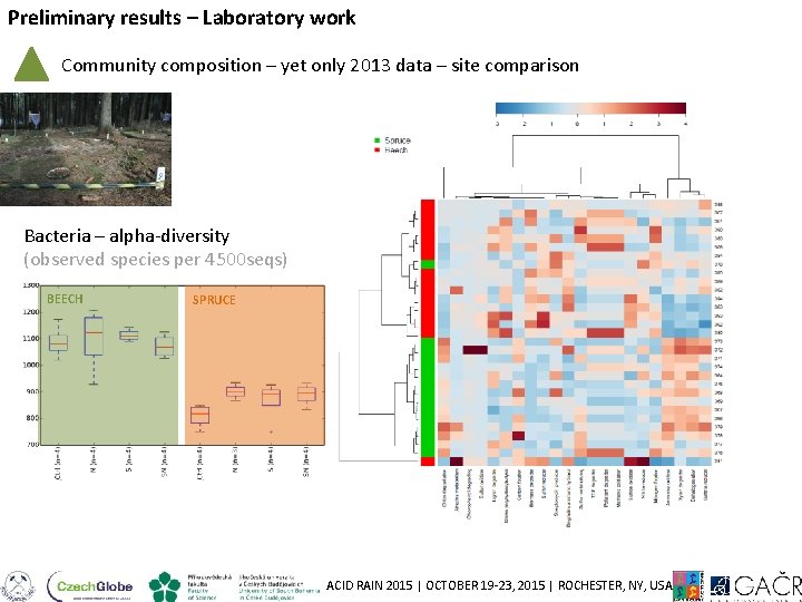 Preliminary results – Laboratory work Community composition – yet only 2013 data – site