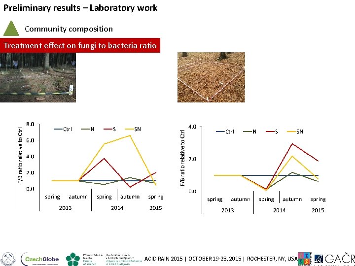Preliminary results – Laboratory work Community composition Treatment effect on fungi to bacteria ratio