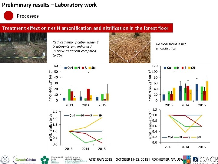 Preliminary results – Laboratory work Processes Treatment effect on net N amonification and nitrification