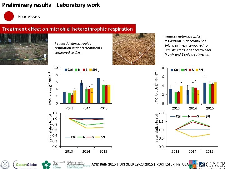 Preliminary results – Laboratory work Processes Treatment effect on microbial heterothrophic respiration Reduced heterothrophic