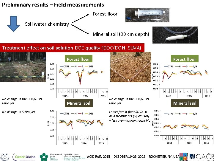 Preliminary results – Field measurements Forest floor Soil water chemistry Mineral soil (30 cm