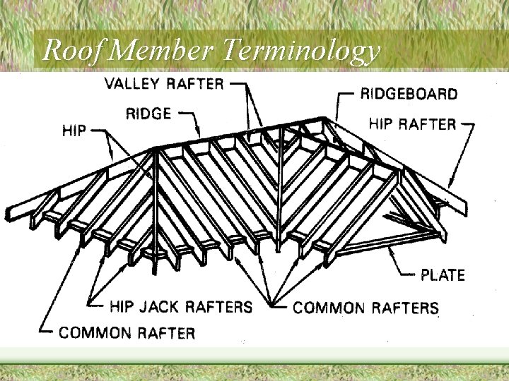 Roof Member Terminology 