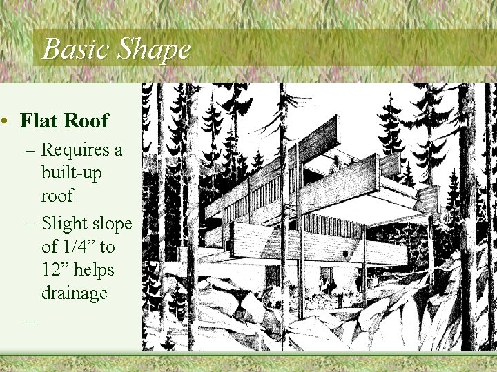 Basic Shape • Flat Roof – Requires a built-up roof – Slight slope of