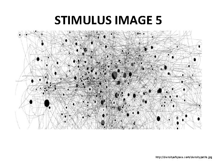 STIMULUS IMAGE 5 http: //densityofspace. com/densitypaths. jpg 