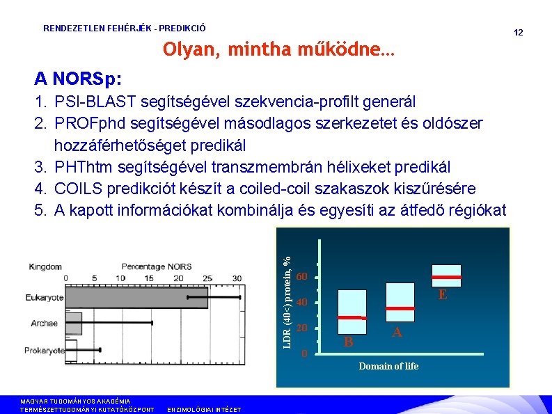 RENDEZETLEN FEHÉRJÉK - PREDIKCIÓ 12 Olyan, mintha működne… A NORSp: LDR (40<) protein, %